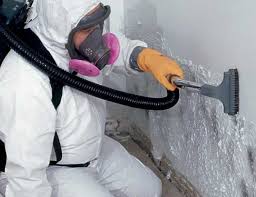 Why You Should Choose Our Mold Remediation Services in Dewey Humboldt, AZ